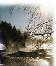 St-Donat: Quebec: Laurentians: lodging, hotels, inns, bed and breakfast, restaurants,
snowmobile, mt-tremblant park, cross country skiing, alpine ski, hotel, inn.