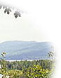 St-Donat: Qu�bec: Laurentides: h�bergement, hotels, auberges, bed and breakfast, restaurants,
motoneige, parc du mt-tremblant, ski de fond, ski alpin, vacances en hotel, auberge.